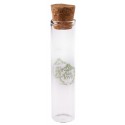 Eprouvettes à dragées vintage with love menthe en verre 10 cm les 24