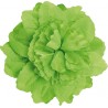 Pince à cheveux fleur vert anis (double fleurs) 20 cm