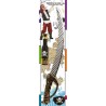 Set accessoires pirate enfant et adulte luxe 3 pcs