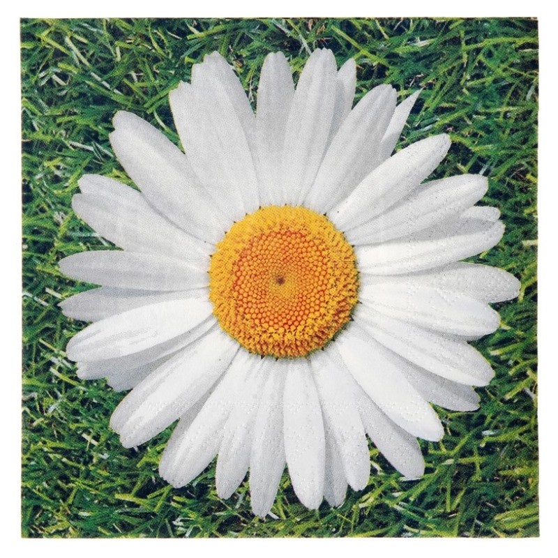 20 Serviettes En Papier 2 Plis à Motif Marguerite - Idéales Pour Fêtes, Mariages & Anniversaires | Absorbantes Et Élégantes