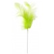 Pique plumes vert anis 8 x 14 cm les 12