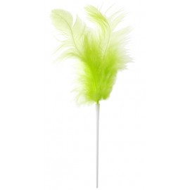 Pique plumes vert anis 8 x 14 cm les 12