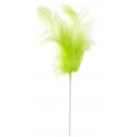 Piques plumes vert anis 8 x 14 cm les 12