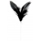 Pique plumes noires 8 x 14 cm les 12