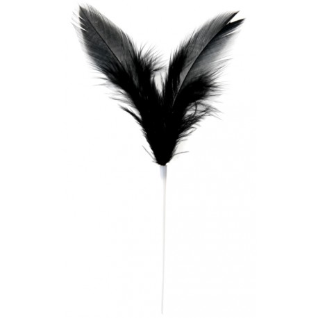 Pique plumes noires 8 x 14 cm les 12