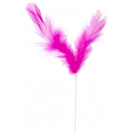 Pique plumes fuchsia 8 x 14 cm les 12