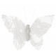 Papillon dentelle blanche sur pince les 4