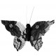 Papillon dentelle noire sur pince les 4