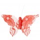 Papillon dentelle corail sur pince les 4