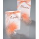 Plumes corail 7 cm les 20