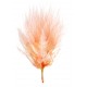 Plumes corail 7 cm les 20