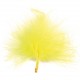 Plumes jaunes 7 cm les 20