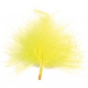 Plumes jaunes 7 cm les 20