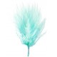 Plumes menthe 7 cm les 20