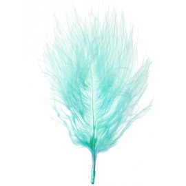 Plumes menthe 7 cm les 20