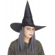 Chapeau sorcière avec cheveux gris femme