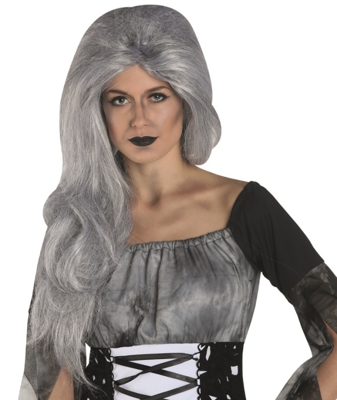 Perruque Sorcière Grise Longue Pour Adulte - Déguisement Halloween, Carnaval, Costume - Cheveux Synthétiques Lisses - 10