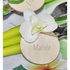 Orchidées ivoire sur tige les 6