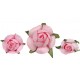 Boutons de roses roses en papier les 20