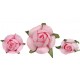 Bouton de rose rose en papier les 20