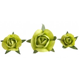 Boutons de roses vert anis en papier les 20