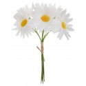 Marguerites blanches sur tige les 6