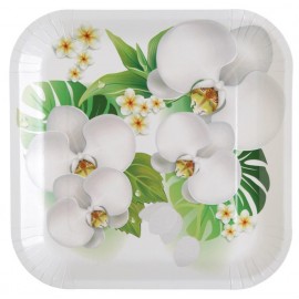 Assiette carton orchidée 23 cm les 10