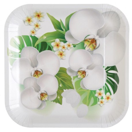 Assiette carton orchidée 23 cm les 10