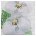 Serviettes de table orchidée papier les 20