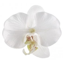Orchidée blanche en tissu les 4
