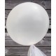 Ballon transparent 50 cm x1