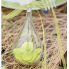 Gouttes d'eau à dragées transparentes les 6