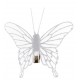 Papillon blanc transparent sur pince les 4