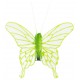 Papillon transparent vert anis sur pince les 4