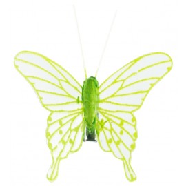 Papillon transparent vert anis sur pince les 4