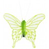 Papillons transparents vert anis sur pince les 4