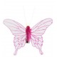 Papillon fuchsia transparent sur pince les 4