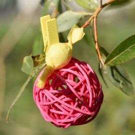 Boules rotin fuchsia en 3 tailles les 10