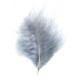 Plumes de Couleur Grise