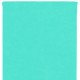 Nappe en intissé menthe - rouleau de 120 cm x 10 M