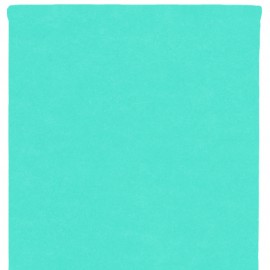 Nappe en intissé menthe - rouleau de 120 cm x 10 M