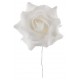 Roses blanches sur tige les 4