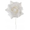Roses blanches sur tige les 4