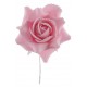 Roses roses sur tige les 4
