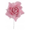 Roses roses sur tige les 4