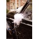 Boa en Plumes de Decoration Voiture