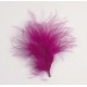 Plumes de couleur Framboise