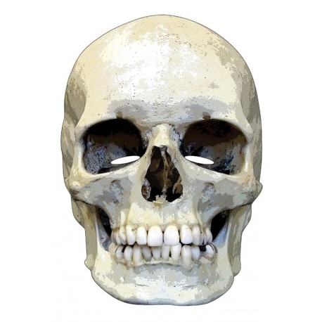 Masque carton squelette Halloween