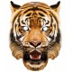 Masque carton tigre