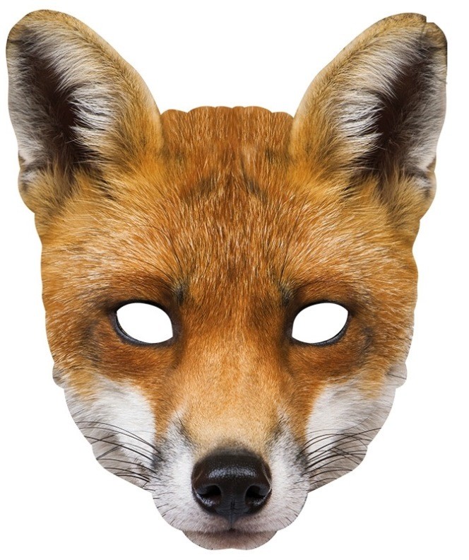 Lot De 3 Masques D'animaux En Tissu Non Tissé - Thème Renard Et Autres, Pour Déguisement Enfants, Fêtes, Halloween - 10